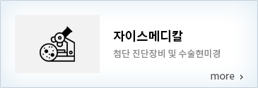 칼자이스